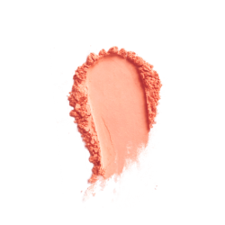 PAESE MINERALS Mineralny róż 6g 301N DUSTY ROSE